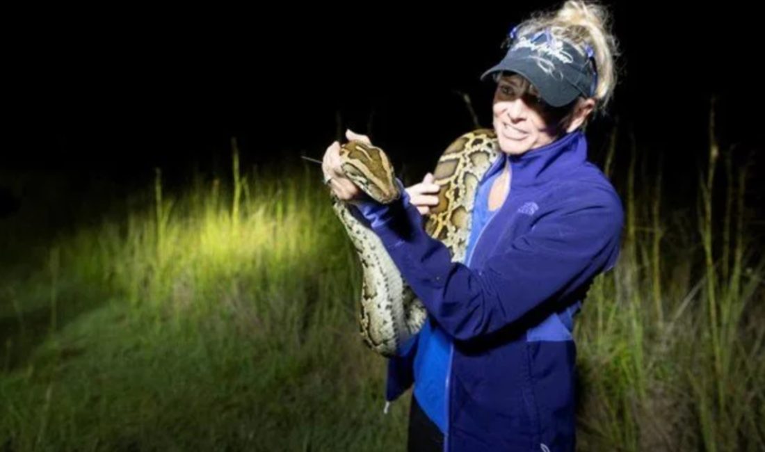 ABD'de Florida’nın Everglades bölgesinde faaliyet gösteren Southwest Florida Tabiat Müdafaa