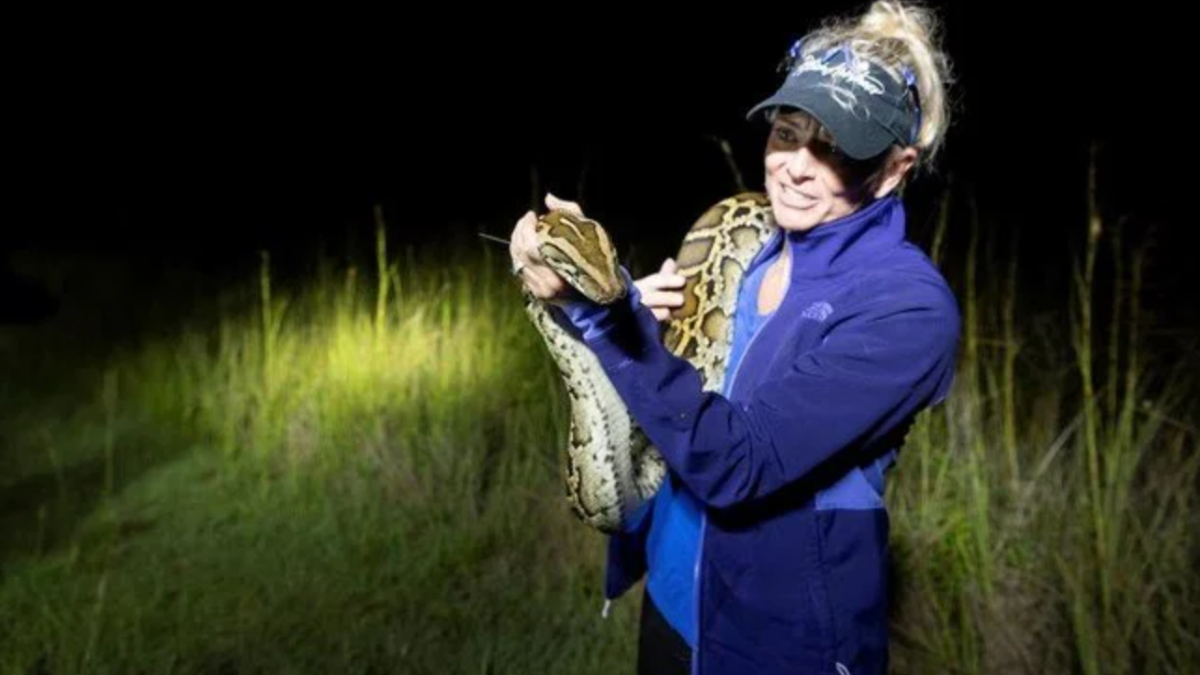 ABD'de Florida’nın Everglades bölgesinde faaliyet gösteren Southwest Florida Tabiat Müdafaa