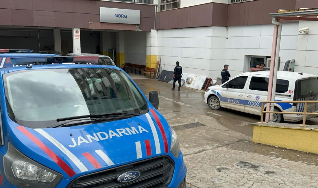 Merkeze bağlı köyde bir kişi suda çırpınan torununu kurtarmak isterken