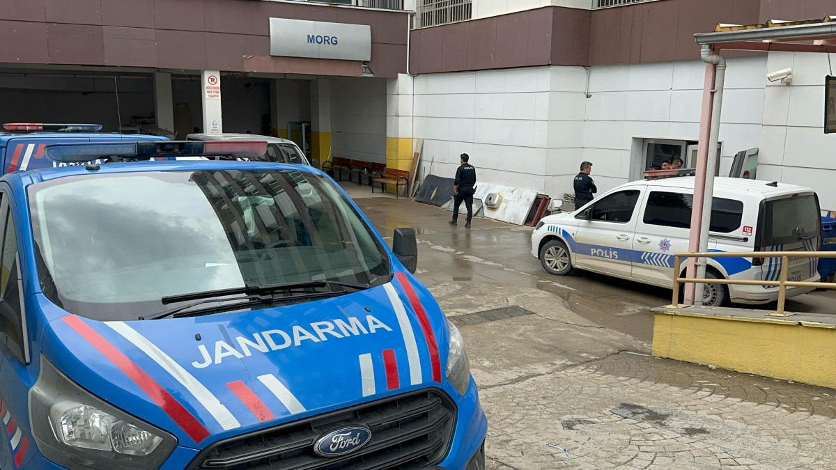 Merkeze bağlı köyde bir kişi suda çırpınan torununu kurtarmak isterken