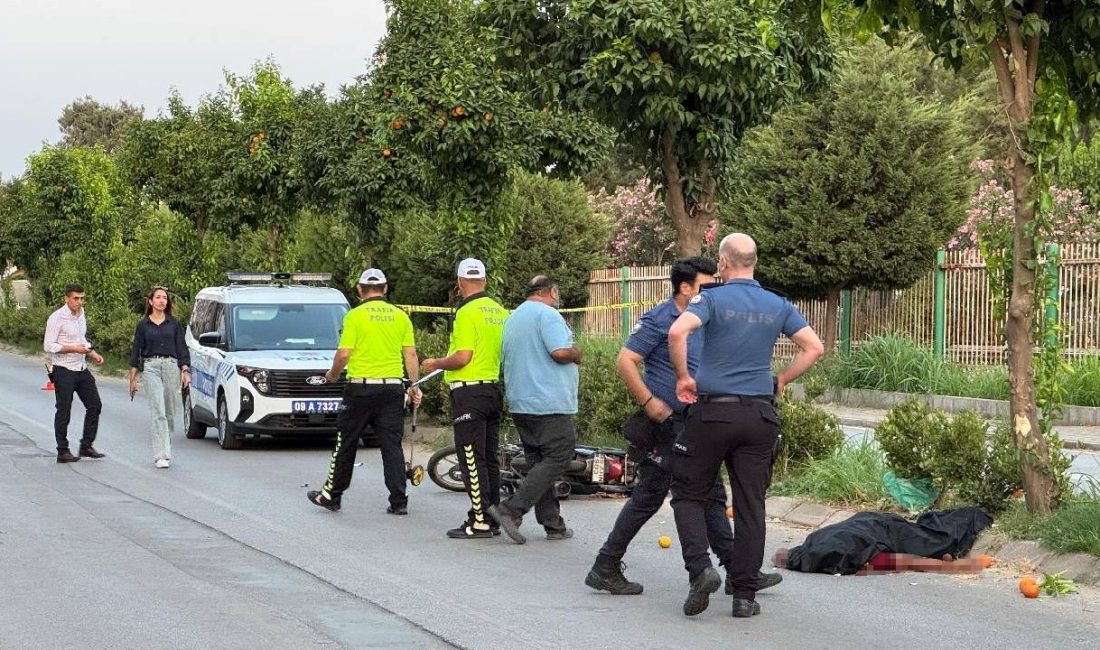 Aydın'da ağaca çarpan motosikletin şoförü yola savrularak can verdi.