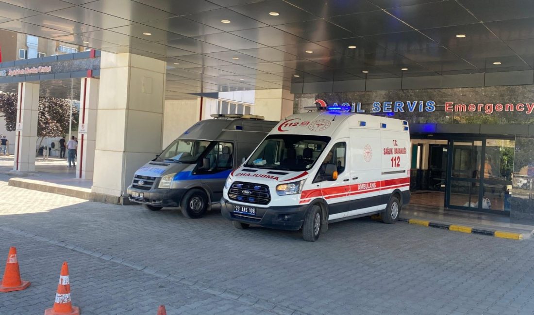 Elazığ’ın Karakoçan ilçesinde, ahırda süt sağarken kenenin ısırdığı bayan hastaneye
