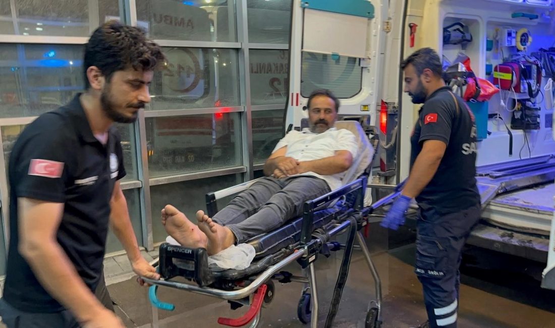 Adıyaman’da, akrep tarafından sokulan bir kişi hastaneye kaldırıldı.