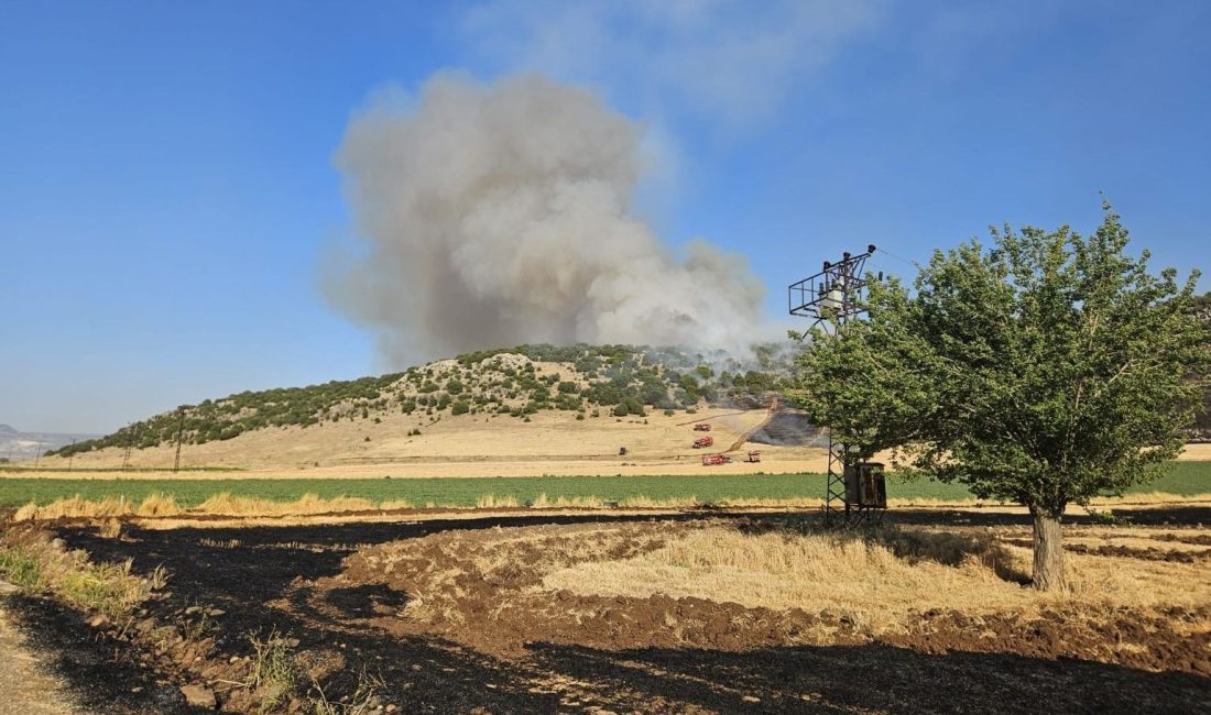 Gaziantep'in Nurdağı ilçesinde anız yakan şahsa 47 bin 320 lira