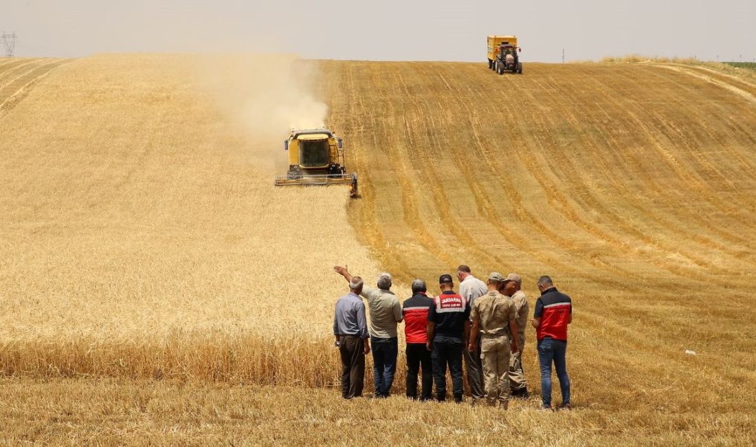 Diyarbakır'da anız yangınlarıyla çaba için takım kuruldu.