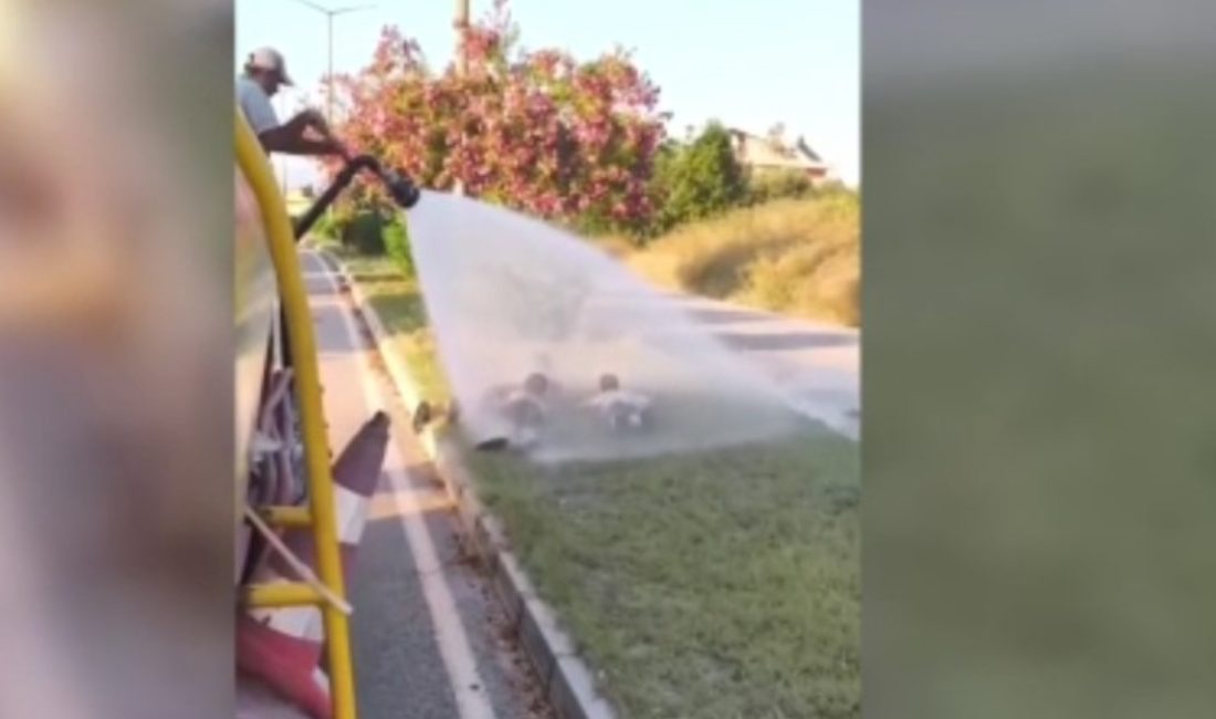 Manavgat Belediyesi Park ve Bahçeler Müdürlüğü takımları, arazözle su püskürterek