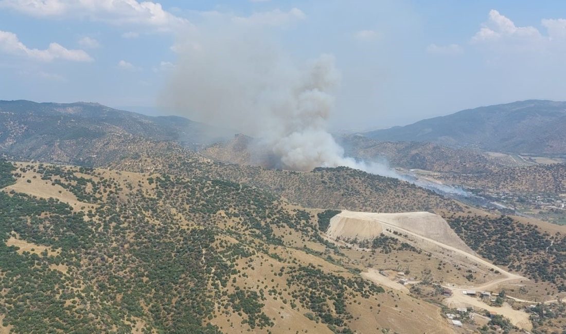Aydın'ın Efeler ilçesinde orman yangını çıktı. Alevlerin süratle yaklaştığı bir