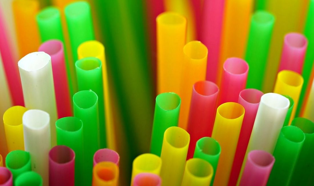 Bilim insanlarının son laboratuvar deneylerinde E. coli bakterisinin plastik atıklardan
