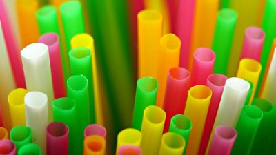 Bilim insanlarının son laboratuvar deneylerinde E. coli bakterisinin plastik atıklardan