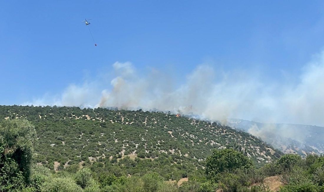 Balıkesir'in Kepsut ilçesinde çıkan arazi yangını denetim altına alındı.