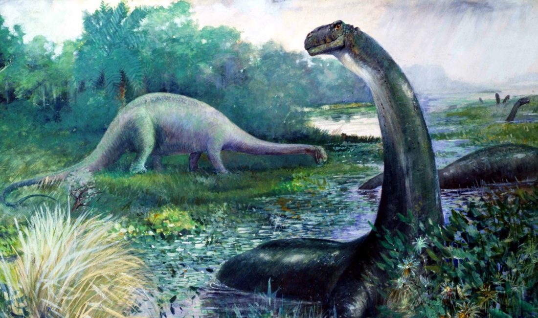 66 ila 70 milyon yıl evvel yaşamış Telmatosaurus transsylvanicus çeşidi