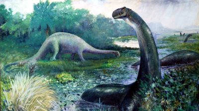 66 ila 70 milyon yıl evvel yaşamış Telmatosaurus transsylvanicus çeşidi