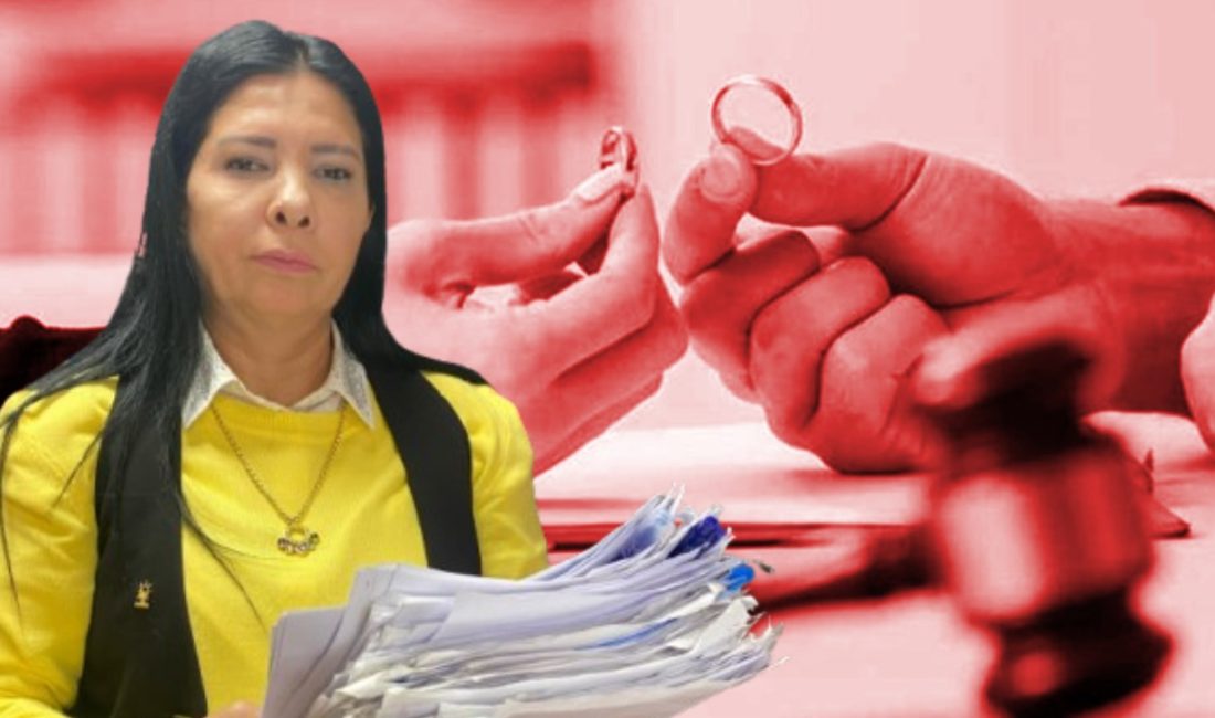 2006 yılında açılan bir boşanma davası, Nilüfer Yalçın isimli bayanın