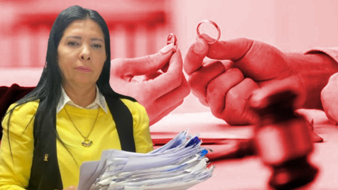 2006 yılında açılan bir boşanma davası, Nilüfer Yalçın isimli bayanın