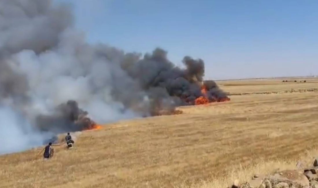 Şanlıurfa'da buğday ekili toprakta çıkan yangında biri ağır, beş kişi