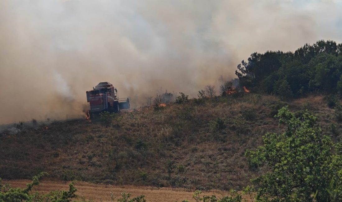 Bursa'nın Yenişehir ilçesinde orman yangını çıktı. Balıkesir'in Ayvalık ilçesinde zeytinlik alanda