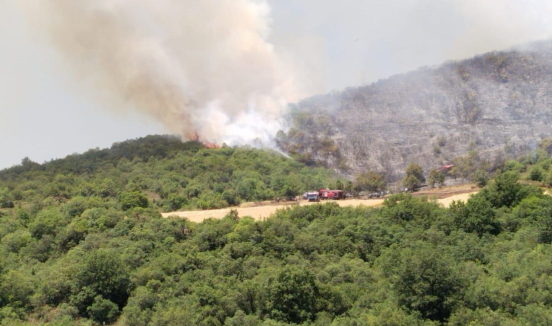Çanakkale'nin Ezine ve Hatay'ın Hassa ilçelerinde orman yangını çıktı. Yangınlara