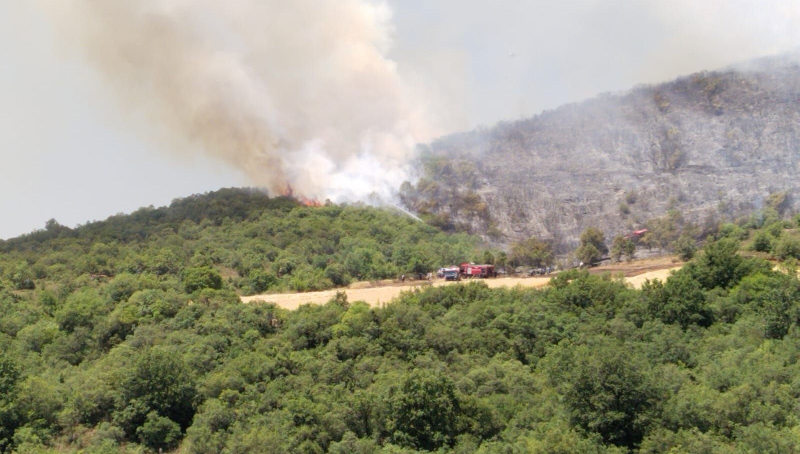 Çanakkale'nin Ezine ve Hatay'ın Hassa ilçelerinde orman yangını çıktı. Yangınlara