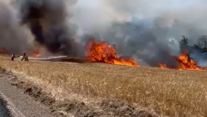 Çanakkale'nin Biga ilçesine bağlı Değirmencik ile Aksaz köyleri ortasında tarım