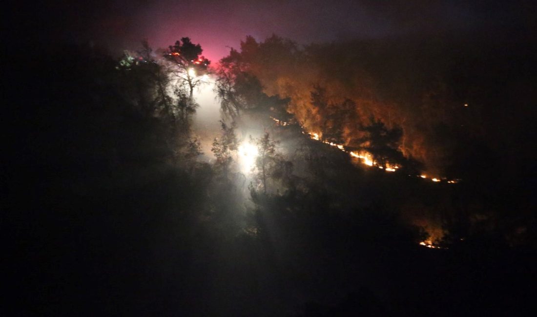 Çanakkale'nin Ayvacık ilçesi yakınlarındaki tarım toprağında çıkan yangın kısmen denetim