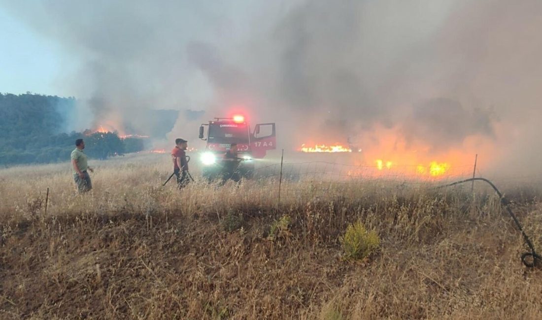 Çanakkale'de çıkan orman yangınlarına ait 6 kişi gözaltına alındı.