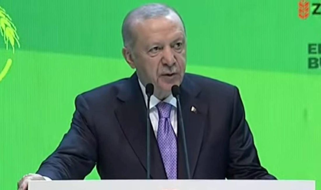 Cumhurbaşkanı Recep Tayyip Erdoğan, muhalefete göndermede bulunarak, "Şaibeyle yatıp butlanla