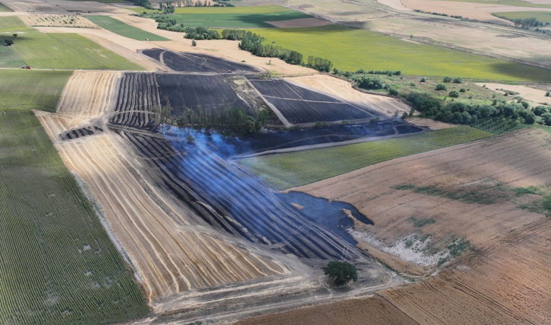 Edirne'nin Havsa ilçesinde buğday tarlasında çıkan yangın itfaiye takımlarınca söndürüldü.