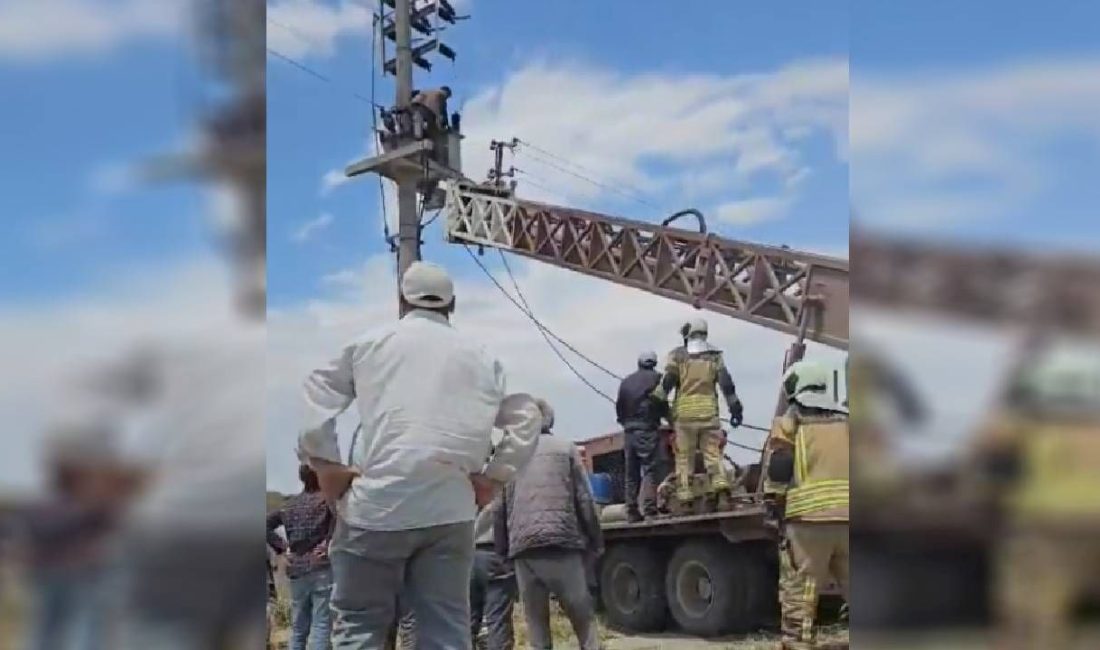 Ankara'da elektrik kesintisini denetim etmek için direğe tırmanan ve tafodaki
