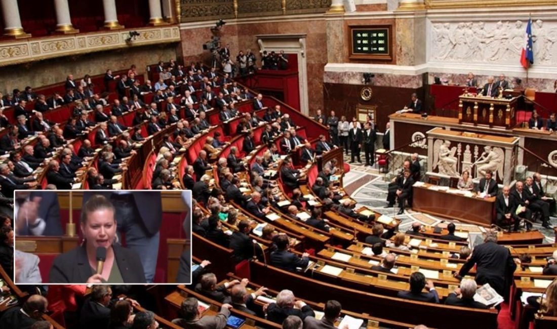 Fransa Parlamentosu'nda milletvekilleri, "Aktivistler manipülasyon peşinde" diyen Fransa Başbakanı François Bayrou'yu