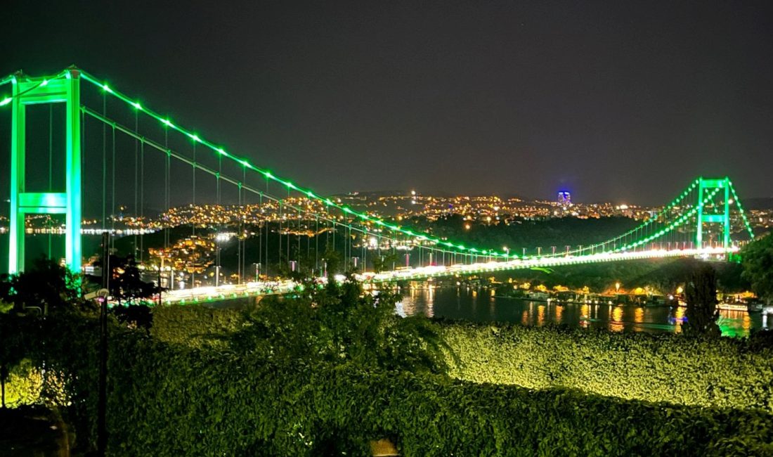 Fatih Sultan Mehmet (FSM) Köprüsü, Skolyoz Farkındalık Günü nedeniyle yeşil