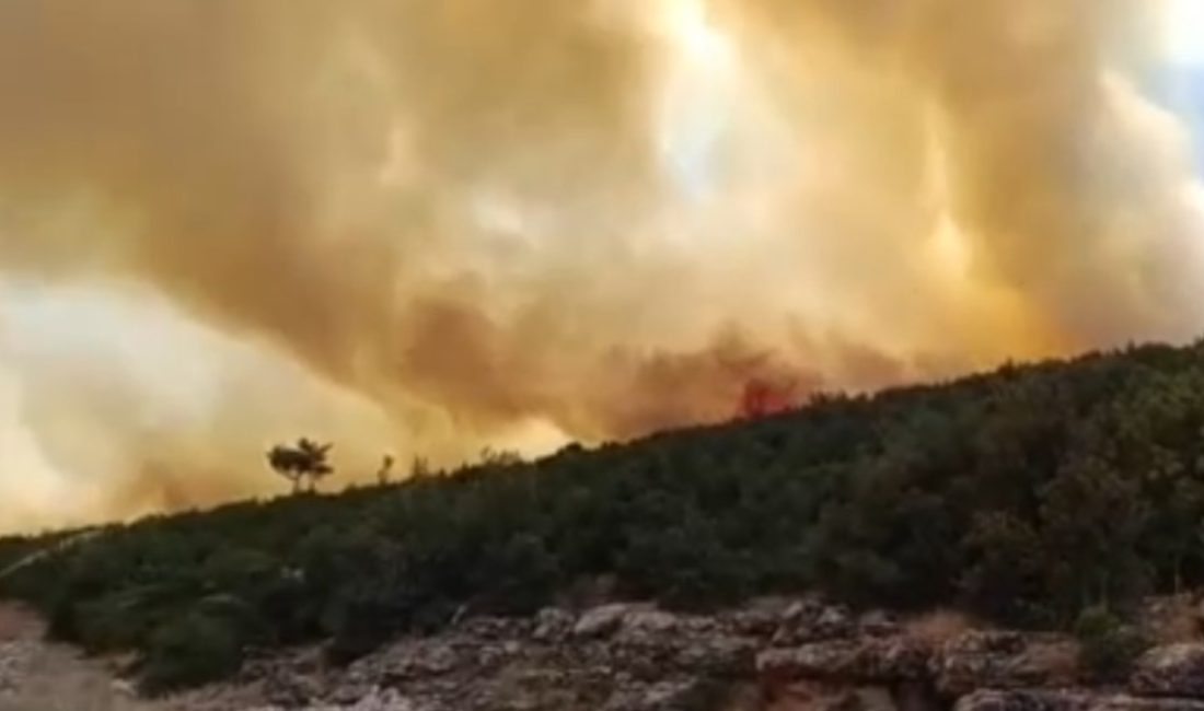 Nurdağı ilçesinde çıkan orman yangınına havadan ve karadan müdahale ediliyor.