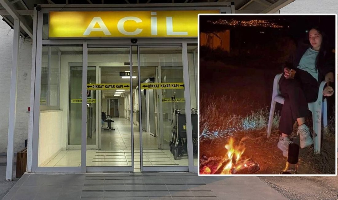 Bilecik'te genç kız tüfekle vurulmuş olarak bulunurken, olayla ilgili erkek