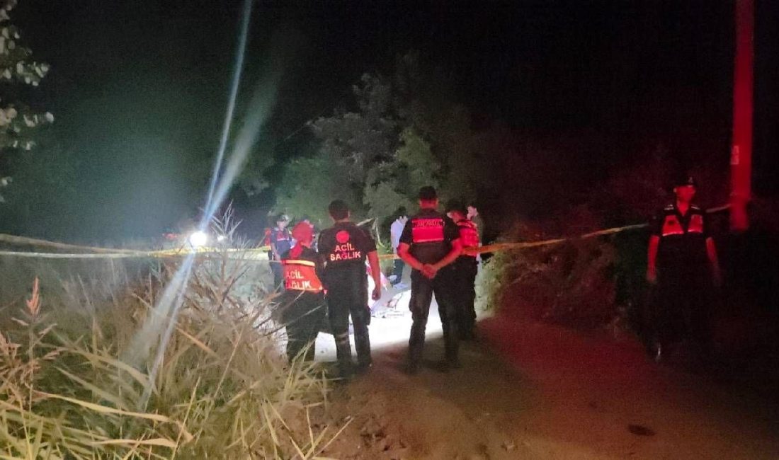 Bursa Orhangazi'deki İznik Gölü kıyı yolu üzerinde hareketsiz yatan Afgan