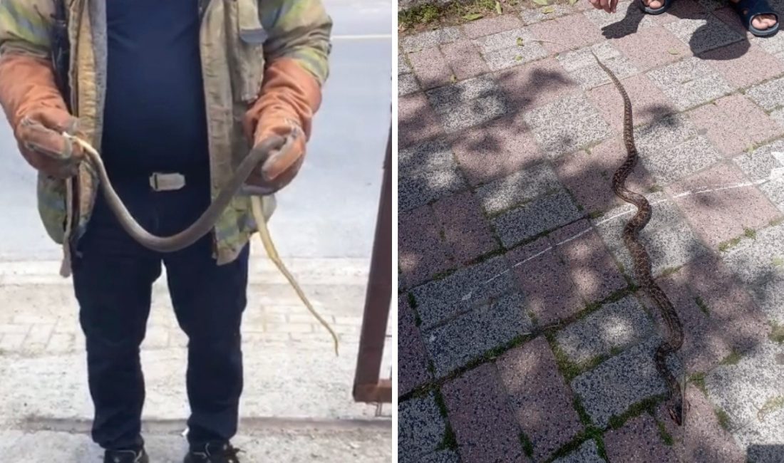 İstanbul'da havaların ısınmasıyla birlikte mesken, iş yeri ve araçlara giren