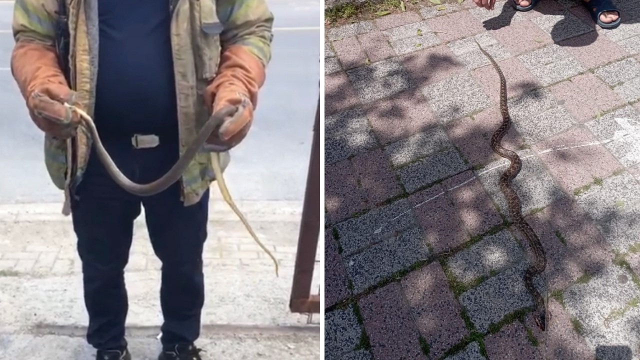 İstanbul'da havaların ısınmasıyla birlikte mesken, iş yeri ve araçlara giren