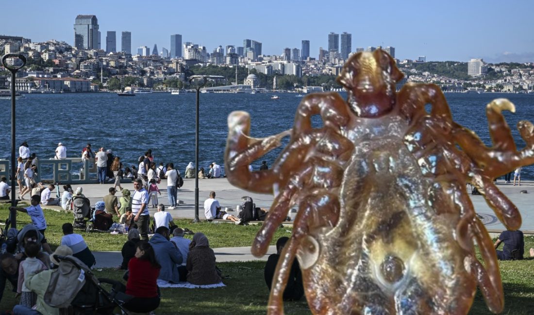 İstanbul'da bu yıl 7 bin 2 kene ısırması hadisesi yaşandı.