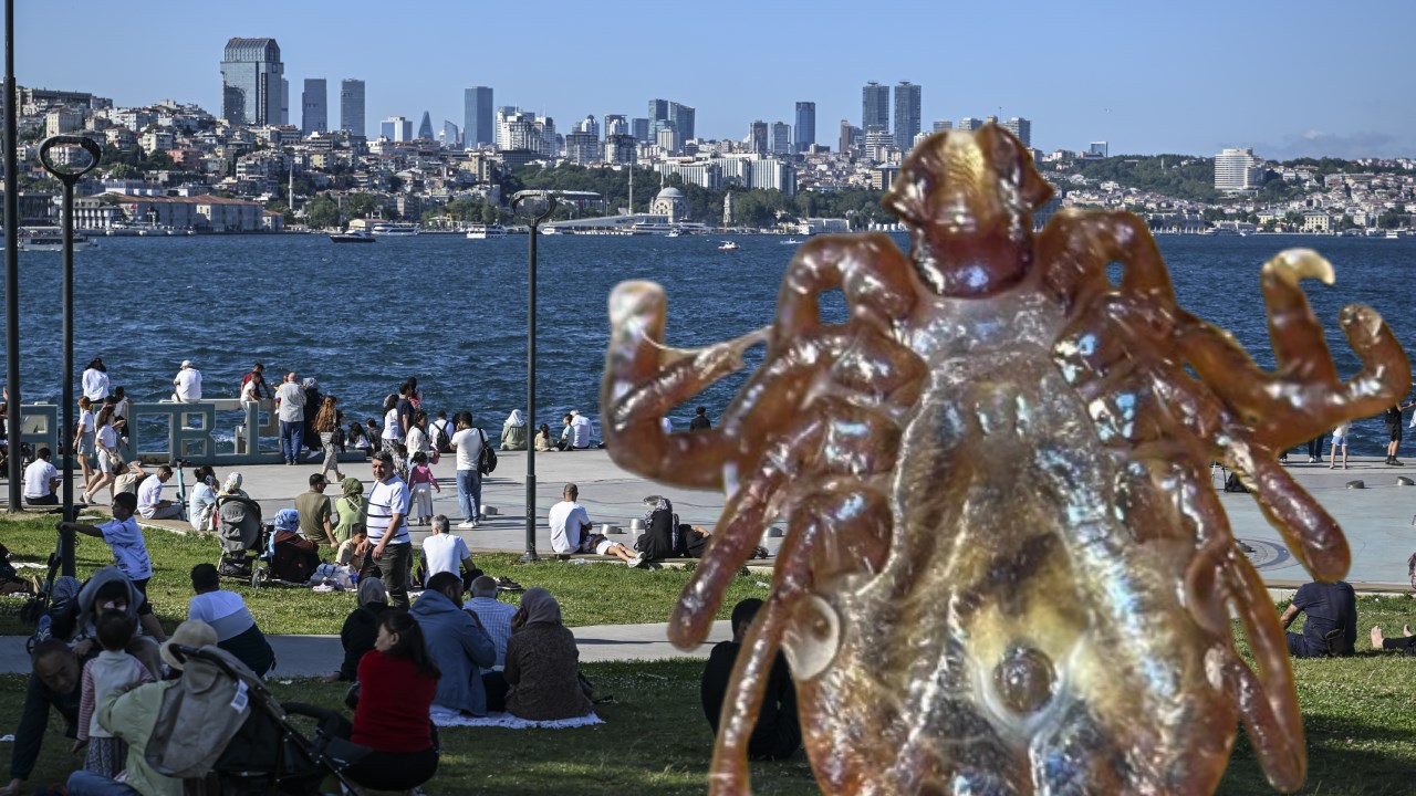İstanbul'da bu yıl 7 bin 2 kene ısırması hadisesi yaşandı.