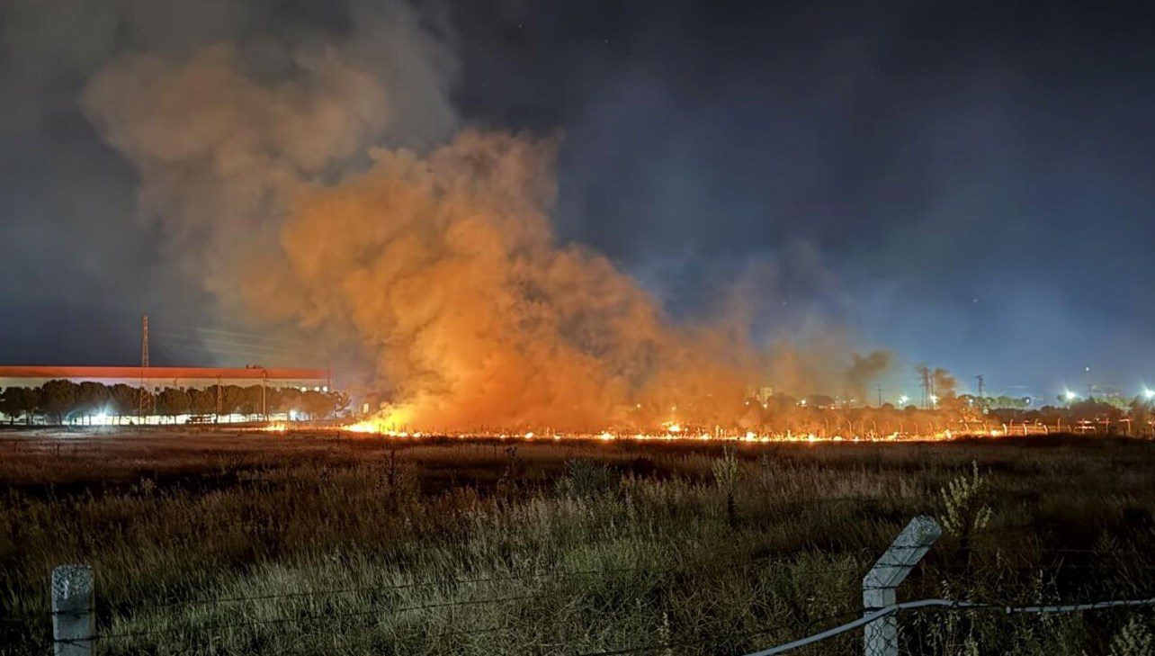 İzmir'in Kemalpaşa ilçesinde gece saatlerinde yangın paniği yaşandı. Otlukta başlayan