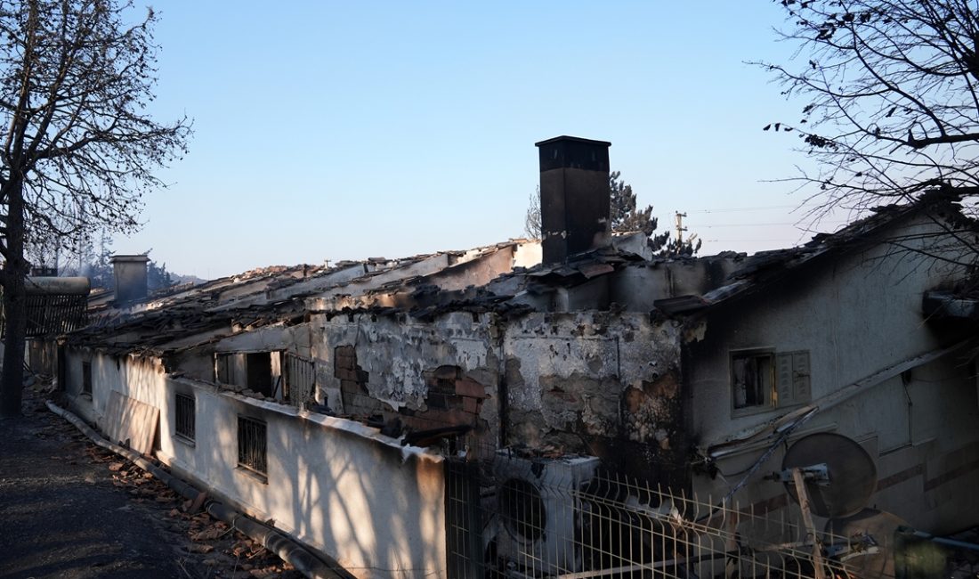 İzmir'in Seferihisar ilçesi Doğanbey mevkisinde dün başlayan yangında, 345 hanenin