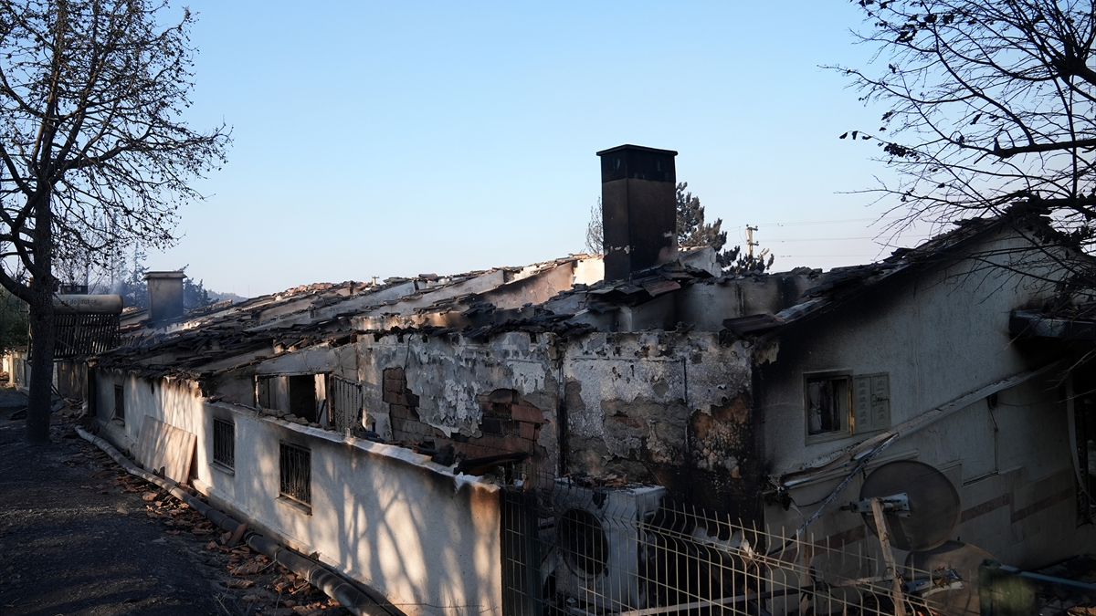 İzmir'in Seferihisar ilçesi Doğanbey mevkisinde dün başlayan yangında, 345 hanenin