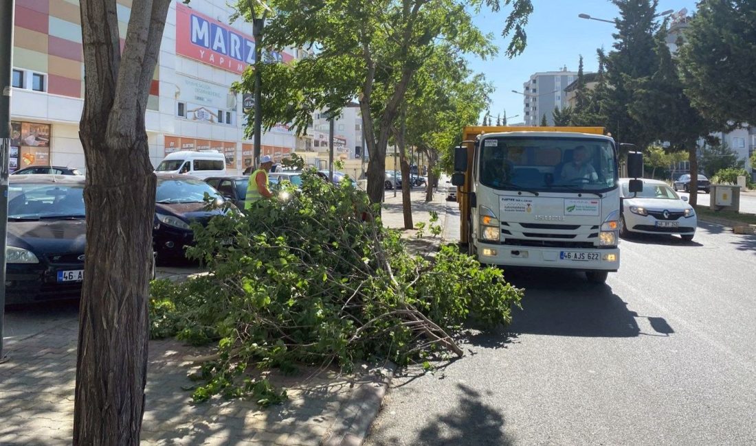 Kahramanmaraş'ta tesirli olan fırtına nedeniyle ağaçlar devrildi, elektrik kesintileri yaşandı.