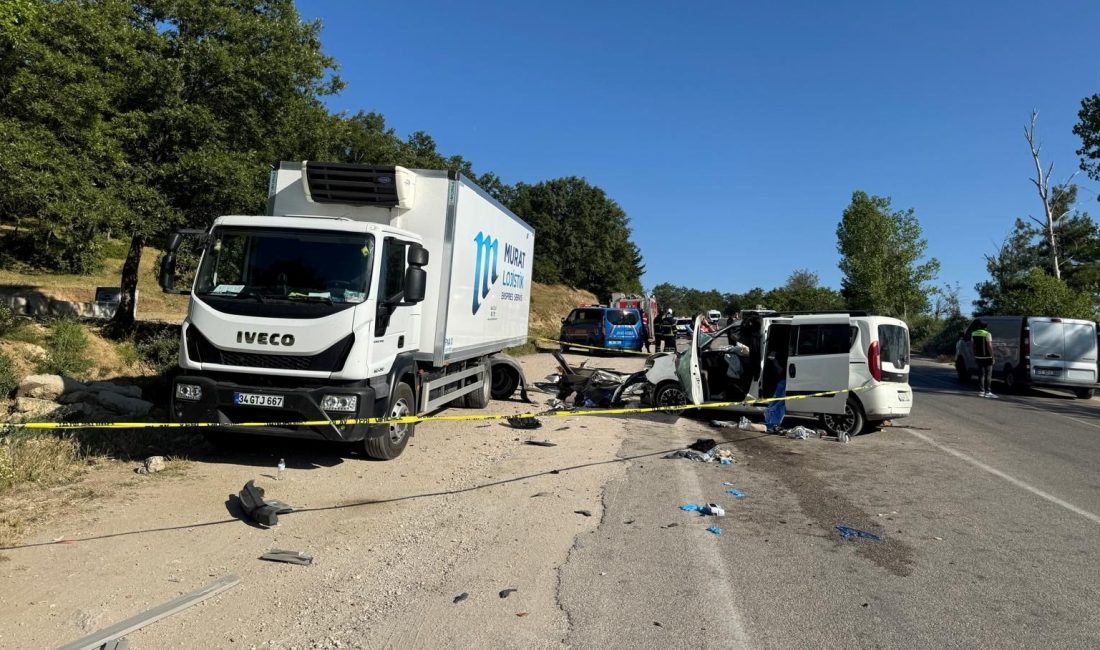 Tokat'ın Niksar ilçesinde hafif ticari aracın park halindeki kamyona çarptı.