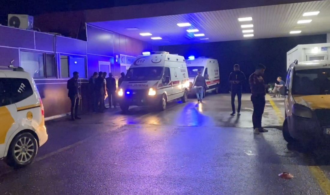 Diyarbakır'da 25 yaşındaki Velat Ak, tartıştığı kardeşi tarafından vurularak öldürüldü.