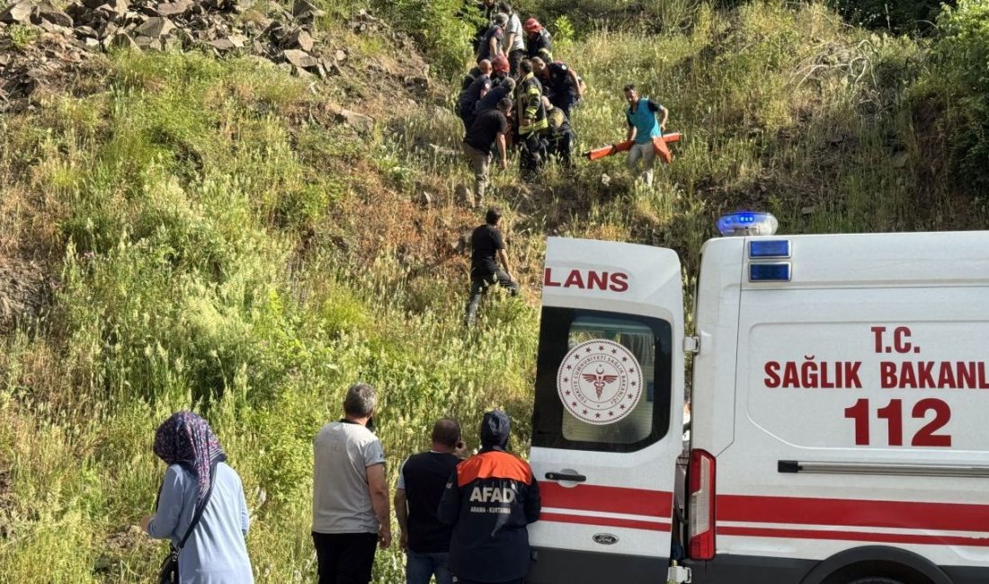 Kocaeli'de ormanlık alanda kayalıklardan düşen bayan hayatını kaybetti, iki oğlu