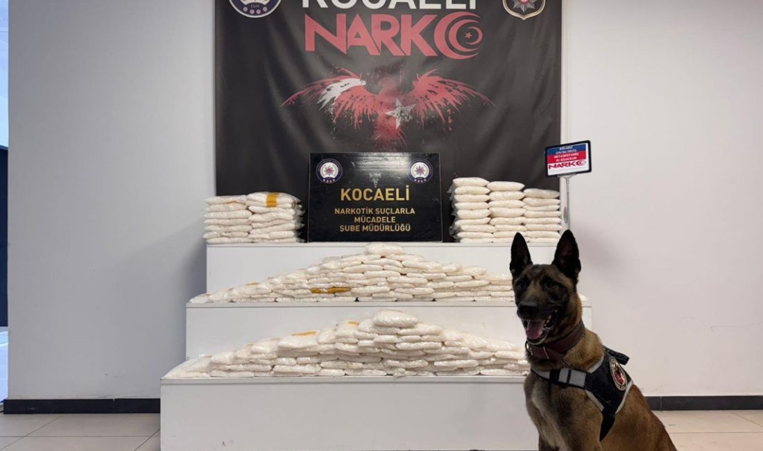 Kocaeli'de TEM Otoyolu’nda durdurulan bir araçta yapılan aramada 146 paket