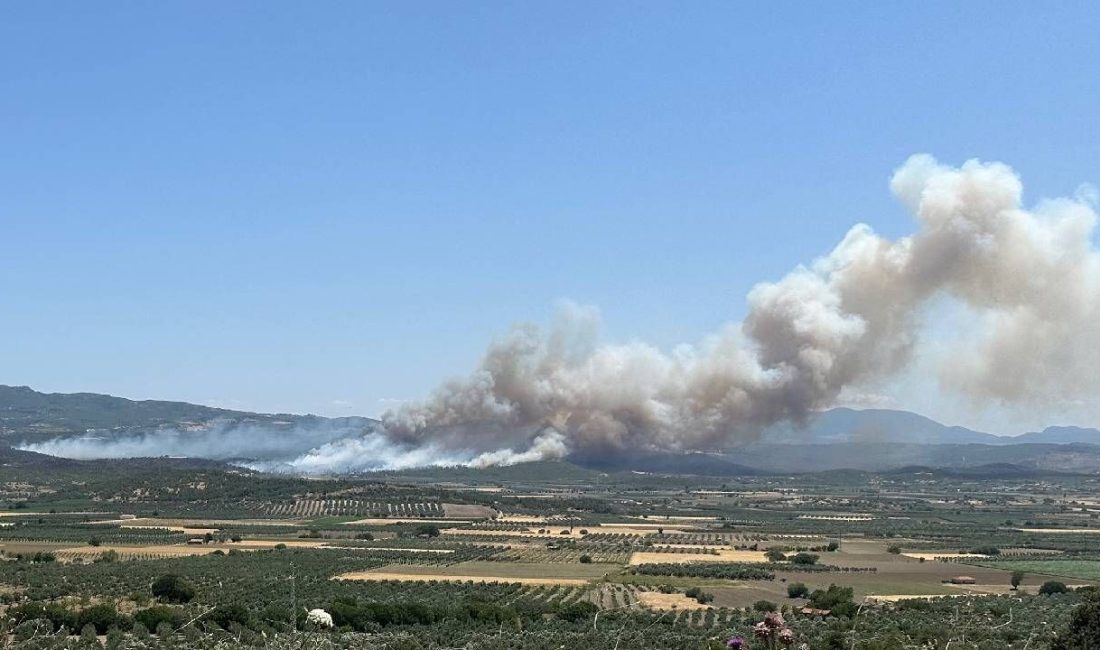 Kırkağaç'ta evvelki akşam başlayan ve denetim altına alına alınan orman