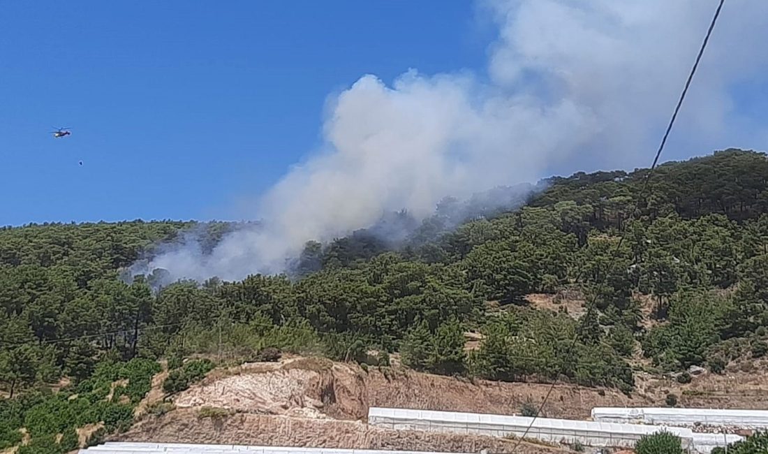 Antalya'nın Kumluca ilçesinde orman yangını çıktı. Yangına havadan ve karadan