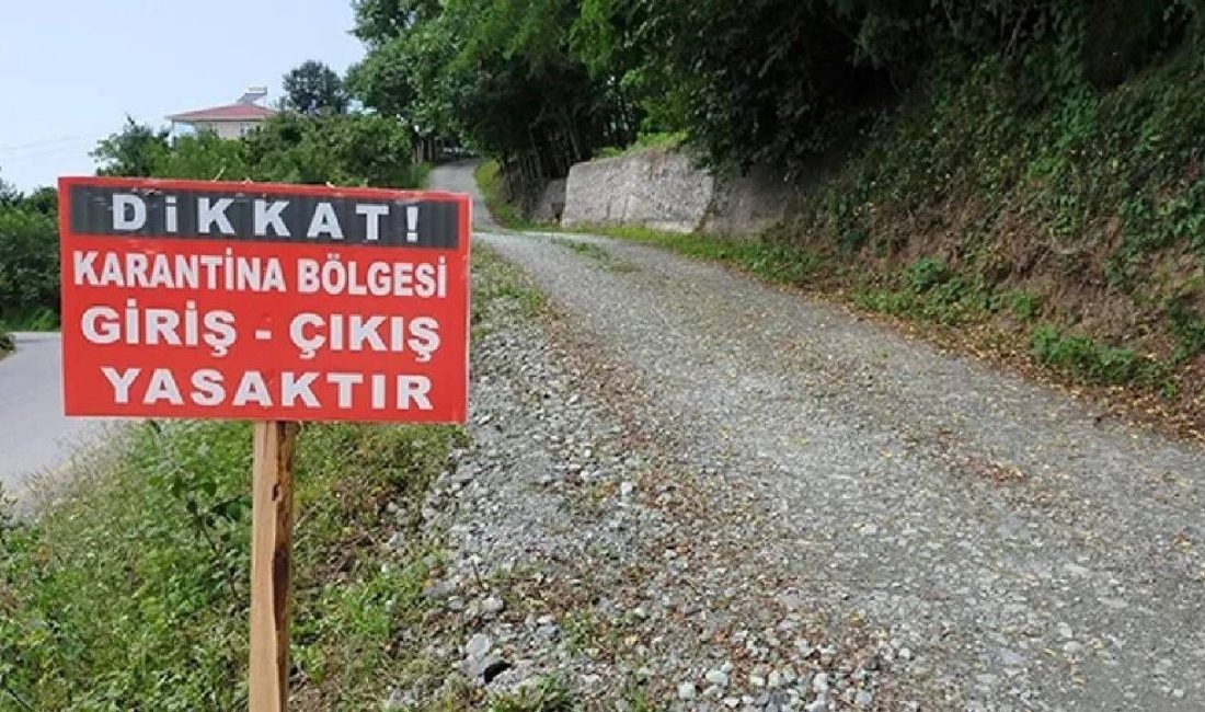 Manisa Selendi'de şap hastalığı tespit edildi, 8 köy karantinaya alındı.