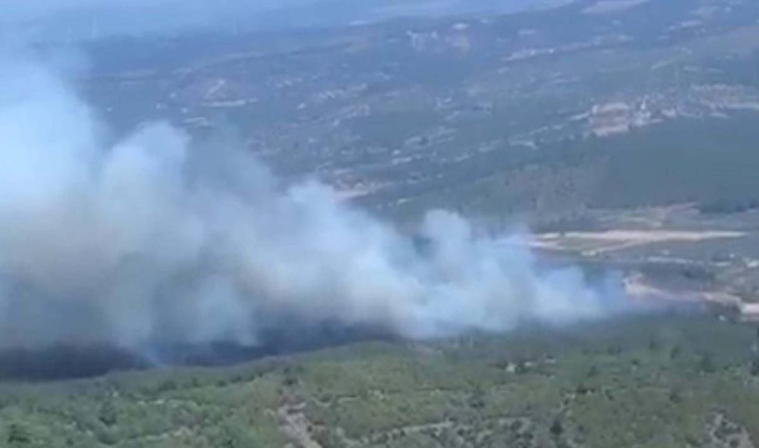 Manisa'da çıkan orman yangını kuvvetli rüzgarın tesiriyle kısa müddette yayıldı.