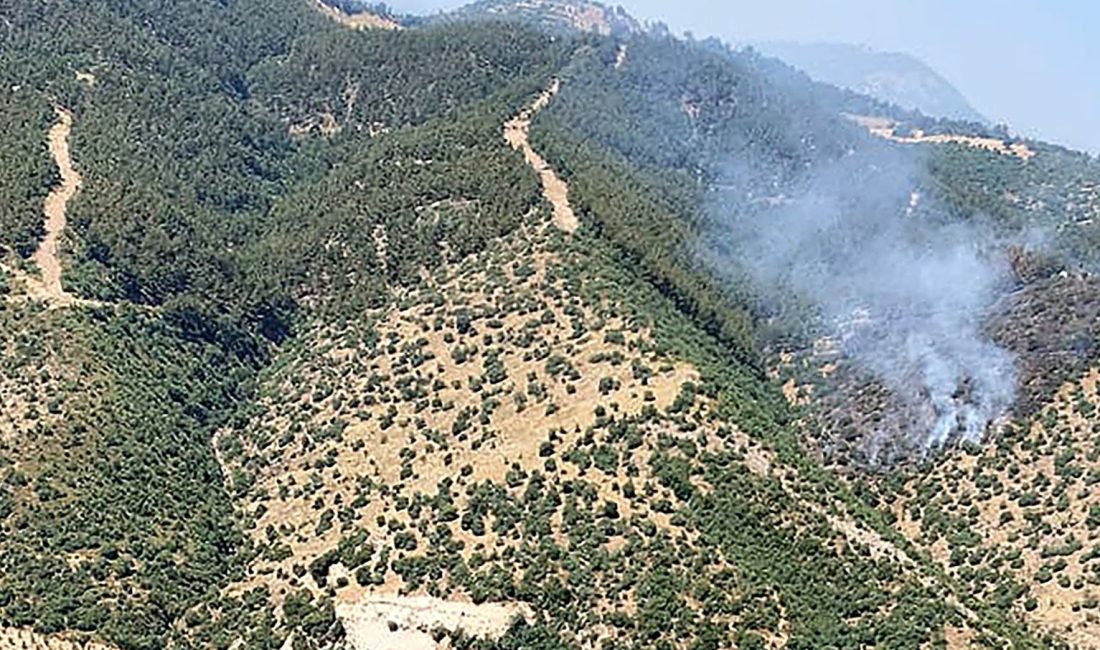 Manisa'da orman yangını çıktı. Takımlar alevlere havadan ve karadan müdahale